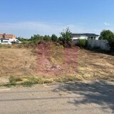 Teren Clinceni- Putul Olteni- Crizantemelor